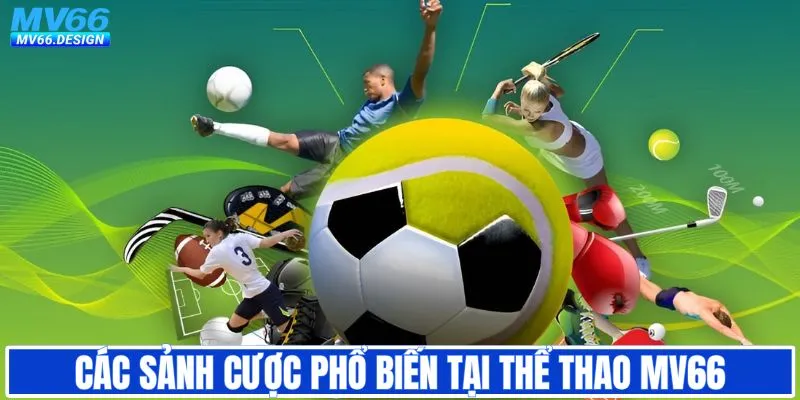 Các sảnh chơi thể thao phổ biến tại MV66
