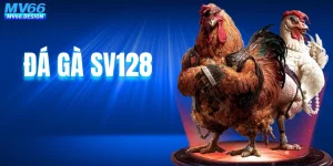 Đá Gà SV128 - Đấu Trường Chọi Kê Chuyên Nghiệp Và Uy Tín